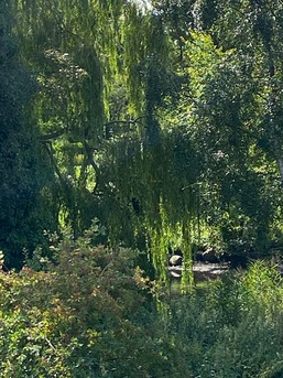 Blick vom Balkon