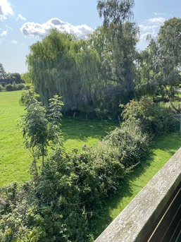 Blick vom Balkon